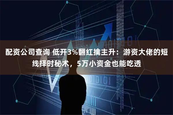 配资公司查询 低开3%翻红擒主升：游资大佬的短线择时秘术，5万小资金也能吃透